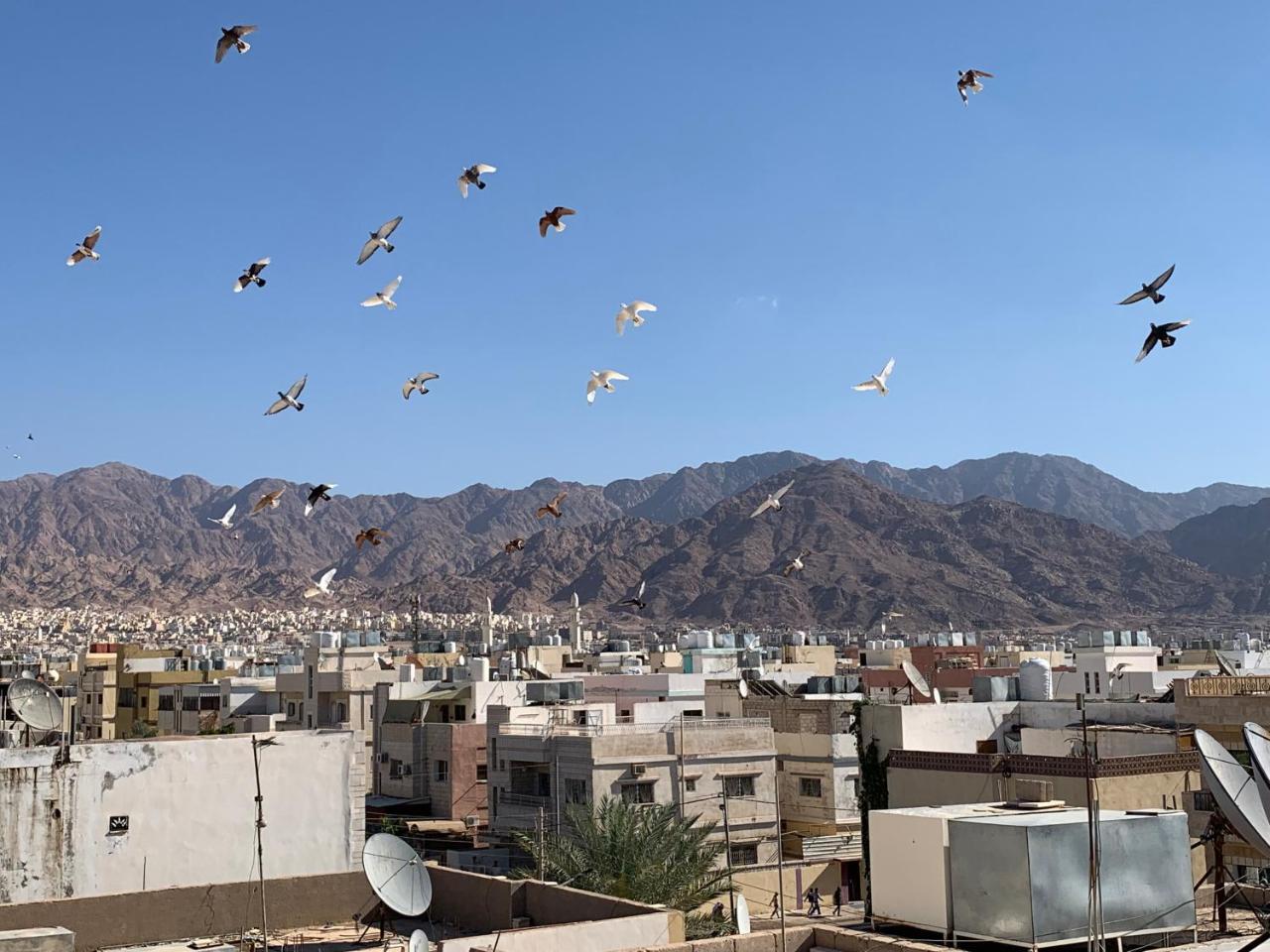 Room 17 Youth Hostel Aqaba Ngoại thất bức ảnh