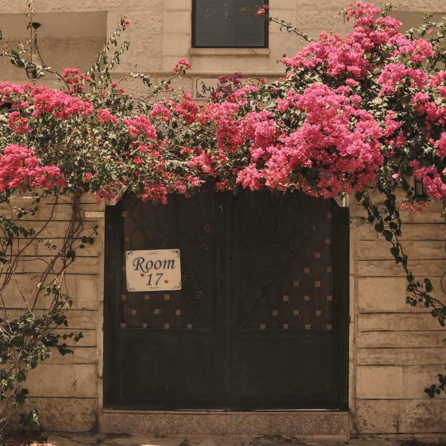 Room 17 Youth Hostel Aqaba Ngoại thất bức ảnh